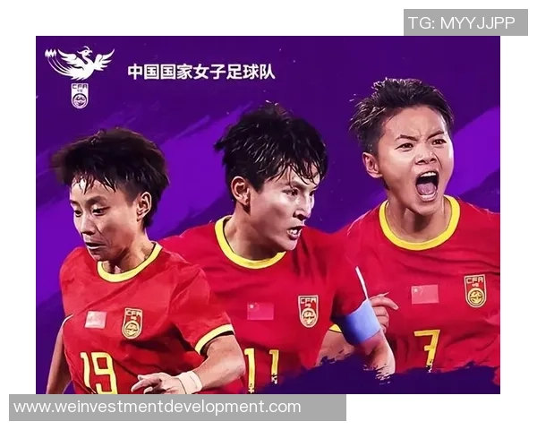 北京排球队节奏引发热议球迷与专家观点交锋解析